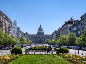 Národní muzeum je on-line